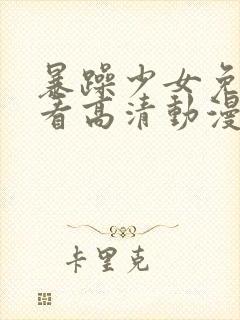 暴躁少女免费观看高清动漫版