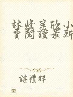 林峰宁欣小说免费阅读最新章节封面