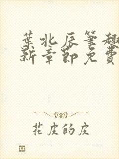 叶北辰笔趣阁最新章节免费阅读