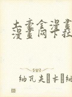土豪金漫画免费漫画网下拉式