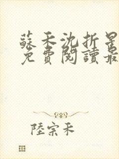 苏禾沈折星小说免费阅读最新章节封面