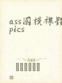 ass国模裸体pics封面
