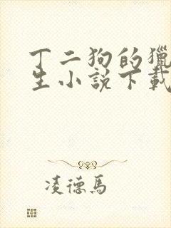 丁二狗的猎艳人生小说下载