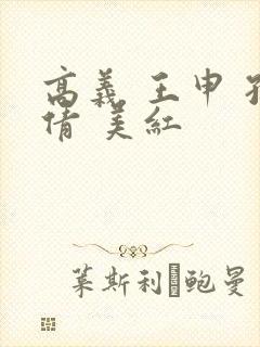 高义 王申 孙倩 美红封面