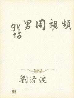 gv男同视频网站