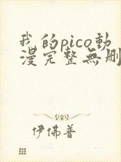 我的pico动漫完整无删减