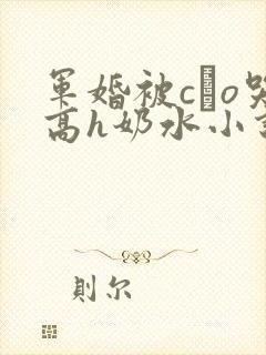 军婚被cαo哭高h奶水小说封面