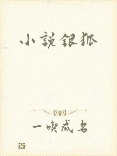 小说银狐