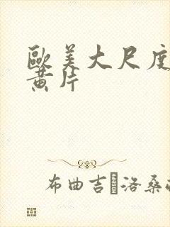 欧美大尺度暴力黄片