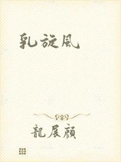 乳旋风封面