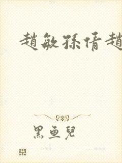 赵敏孙倩赵振封面