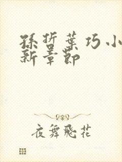 孙哲叶巧小说最新章节