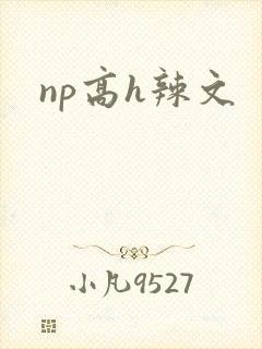np高h辣文封面