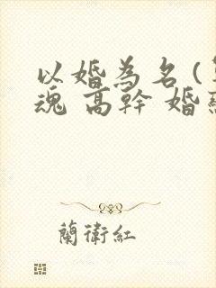 以婚为名 (军魂 高干 婚恋)