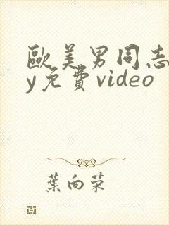 欧美男同志gay免费video封面