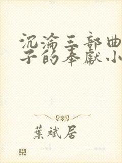 沉沦三部曲之妻子的奉献小说封面