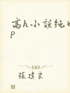 高h小说纯肉np