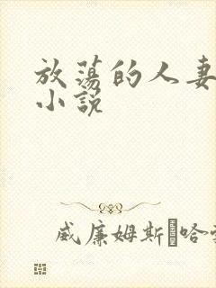 放荡的人妻少妇小说