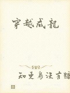 穿越成龙封面