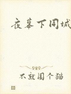 夜幕下同城网封面