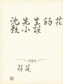 沈先生的花式调教小说封面