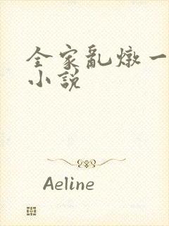 全家乱炖一锅烩小说