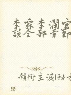 李霖李澜官场小说全部章节目录封面