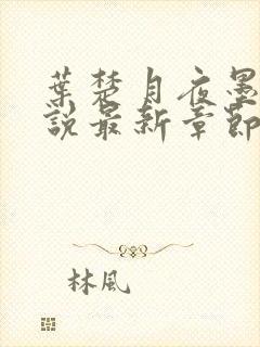 叶楚月夜墨寒小说最新章节正版封面