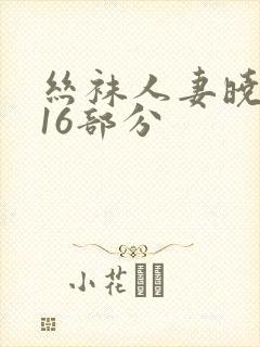 丝袜人妻晓晴第16部分封面