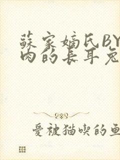 苏家嫡氏BY吃肉的长耳兔