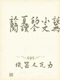 于夏的小说免费阅读全文无弹窗