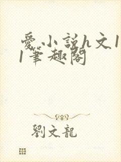 爱小说h文1v1笔趣阁