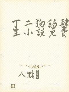 丁二狗的肆意人生小说免费阅读