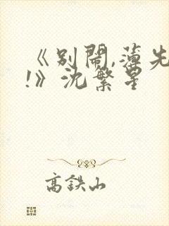 《别闹,薄先生!》沈繁星