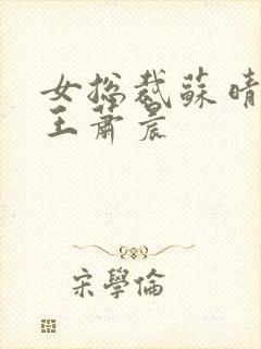 女总裁苏晴与兵王萧晨