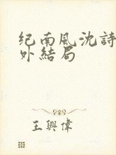 纪南风沈诗澜番外结局