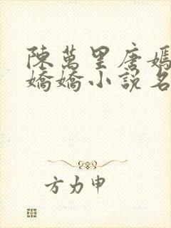 陈万里唐嫣然宋娇娇小说名封面