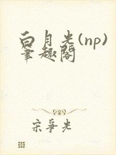 白月光(np)笔趣阁