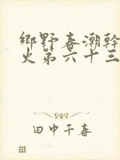 乡野春潮干柴烈火第六十三章