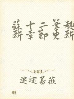 苏十二笔趣阁最新章节更新情况分享