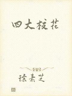 四大校花封面