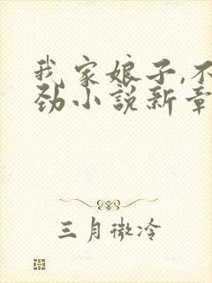 我家娘子,不对劲小说新章节列表