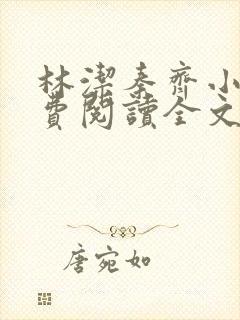 林洁秦齐小说免费阅读全文最新章节