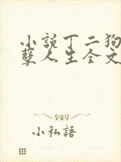 小说丁二狗的妖孽人生全文封面