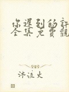 你迟到的许多年全集免费观看