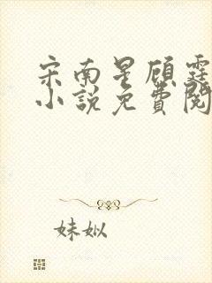 宋南星顾霆琛的小说免费阅读无弹窗