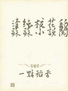 清纯校花的日常苏苏小说阅读全文