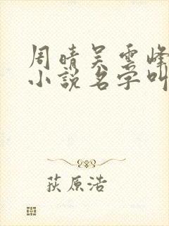 周晴吴云峰李磊小说名字叫什么封面