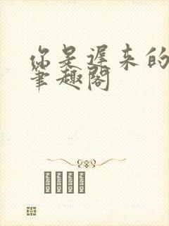 你是迟来的欢喜笔趣阁封面