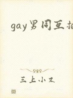 gay男同互插